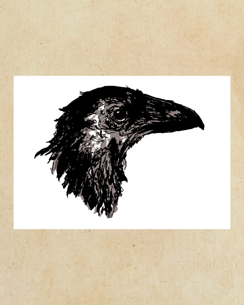 Corvus Study I
