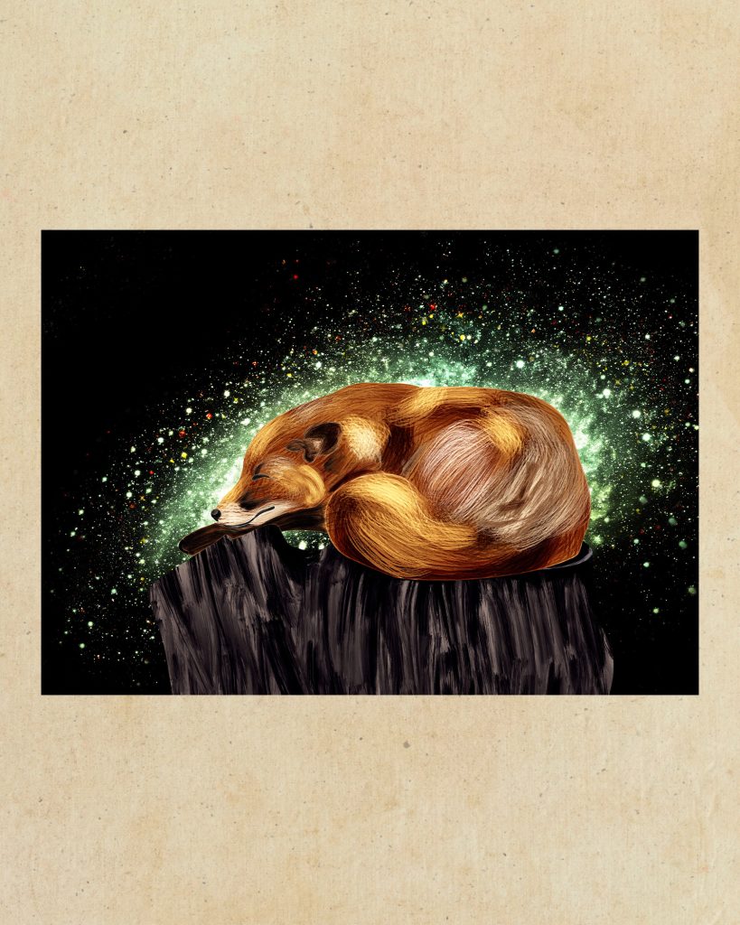 Nocturnal Vulpes