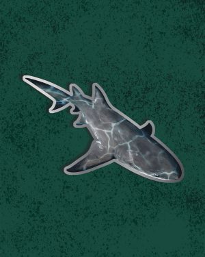 Drawing of a lemon shark swimming with the reflection of rippling water on its back. . A steel border is around the design, acting as the metal edge of the pin